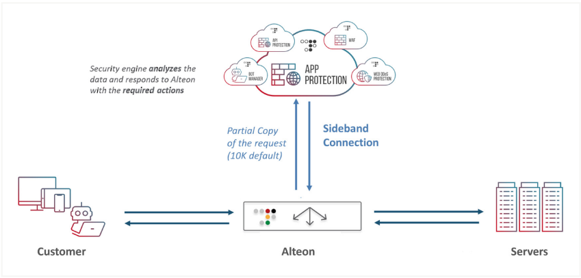 How Radware Alteon Protect works