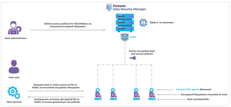 File encryption deployment model